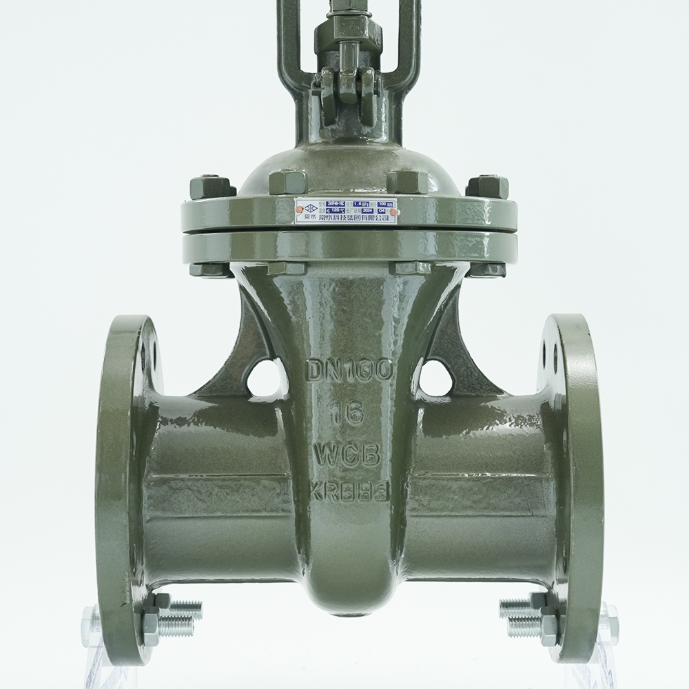 長水科技集団有限公司