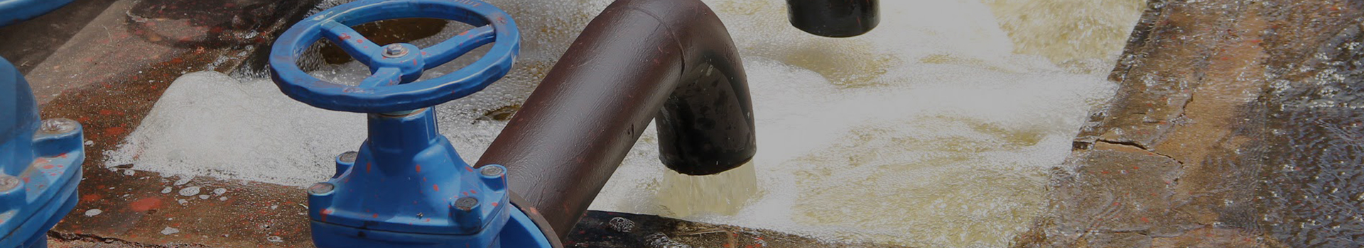 長水科技集団有限公司